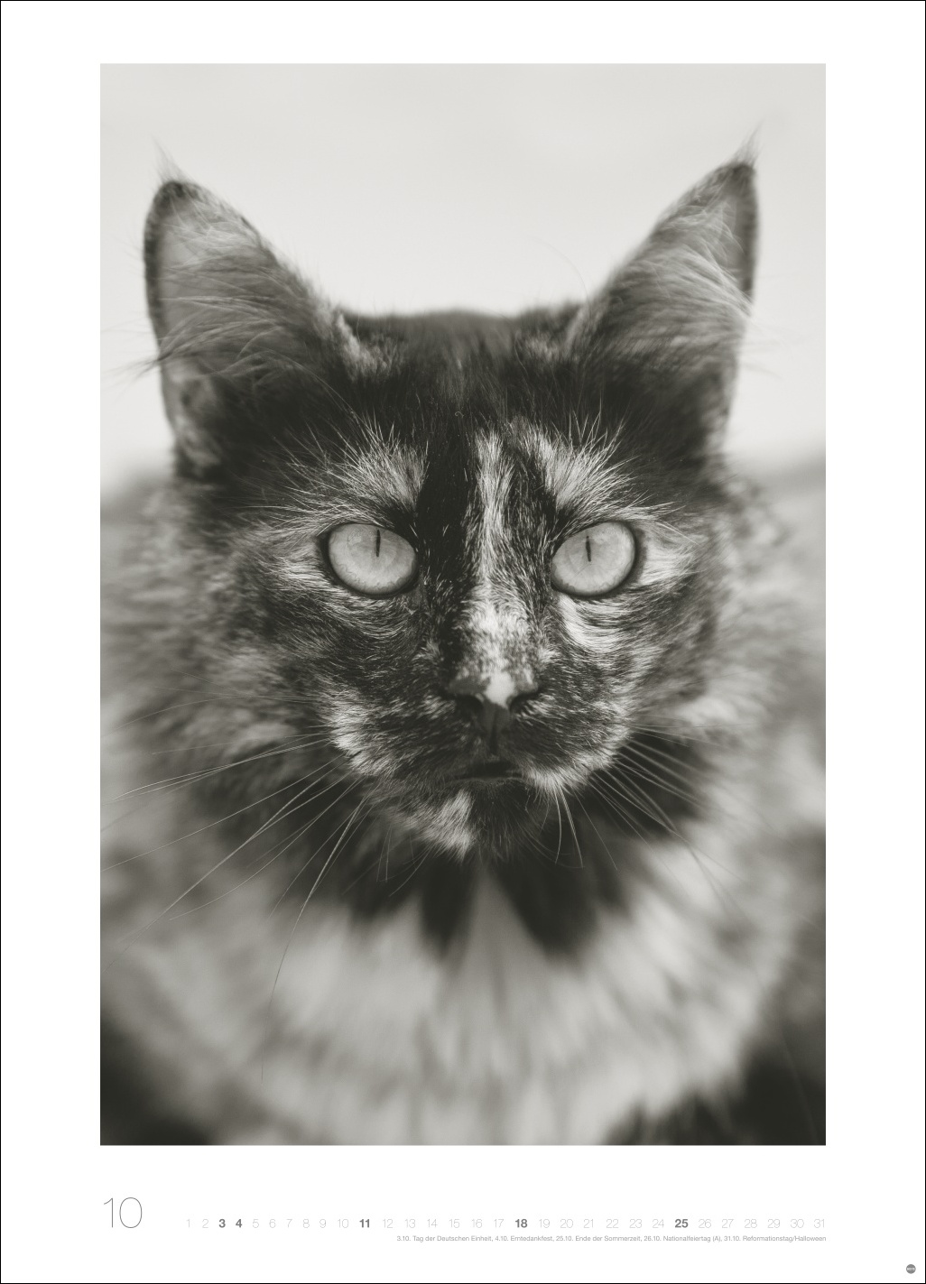 9783756411313_innenansicht_10 9783756411313_innenansicht_10.jpg