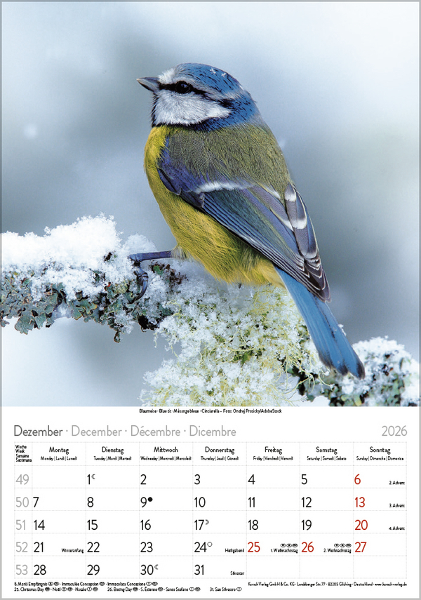 9783731883647_innenansicht_12 9783731883647_innenansicht_12.jpg