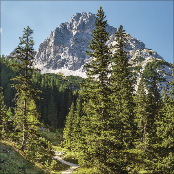 9783731875567_innenansicht_04 9783731875567_innenansicht_04.jpg