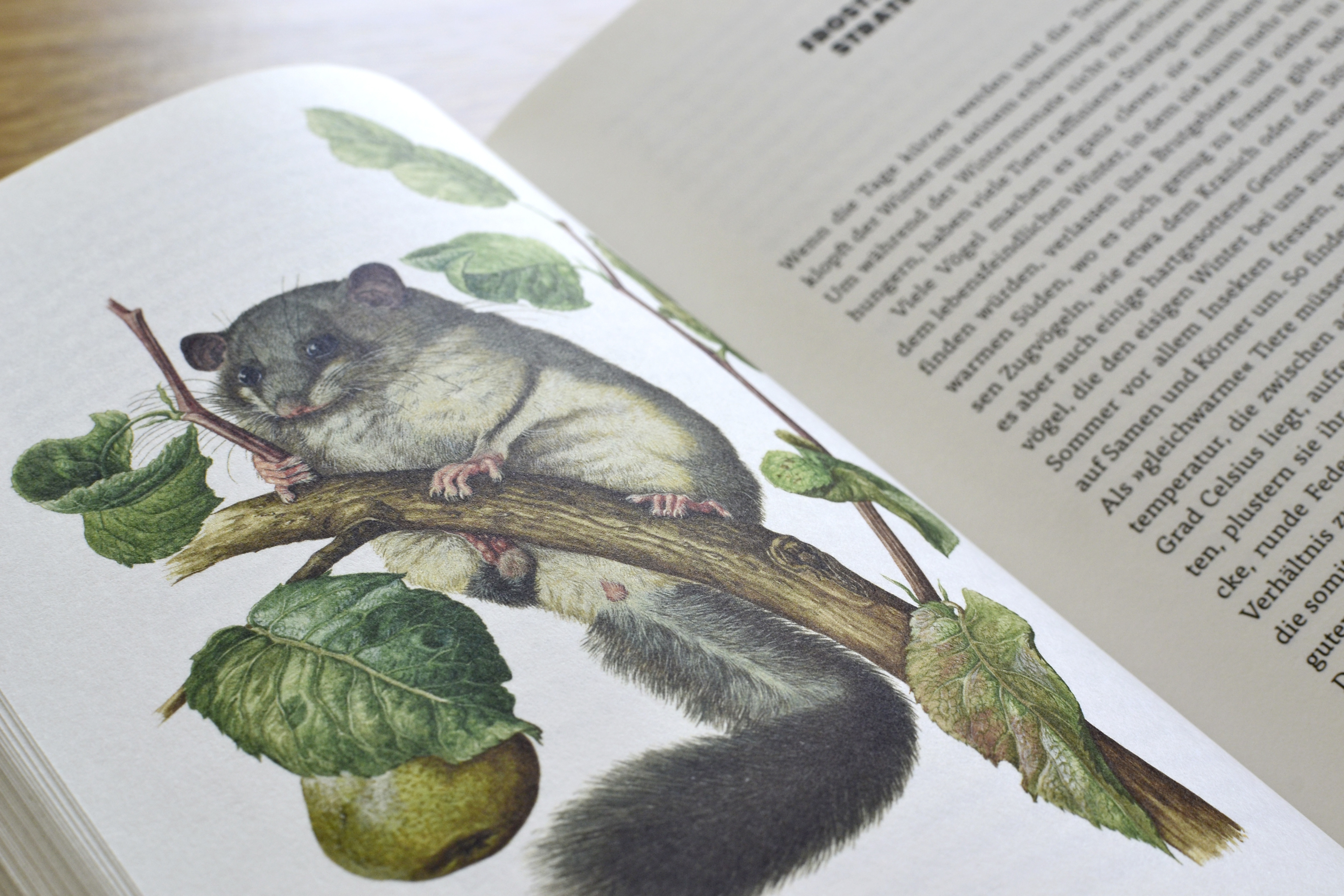 9783847900658_innenansicht_06.jpg 9783847900658_innenansicht_06.jpg