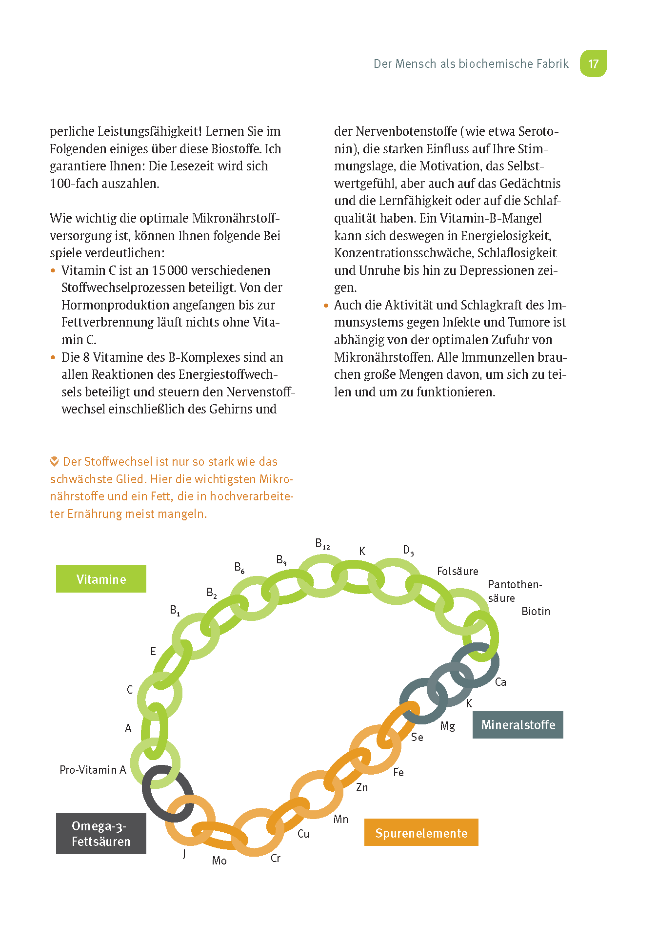 9783432116006_innenansicht_03 9783432116006_innenansicht_03.png