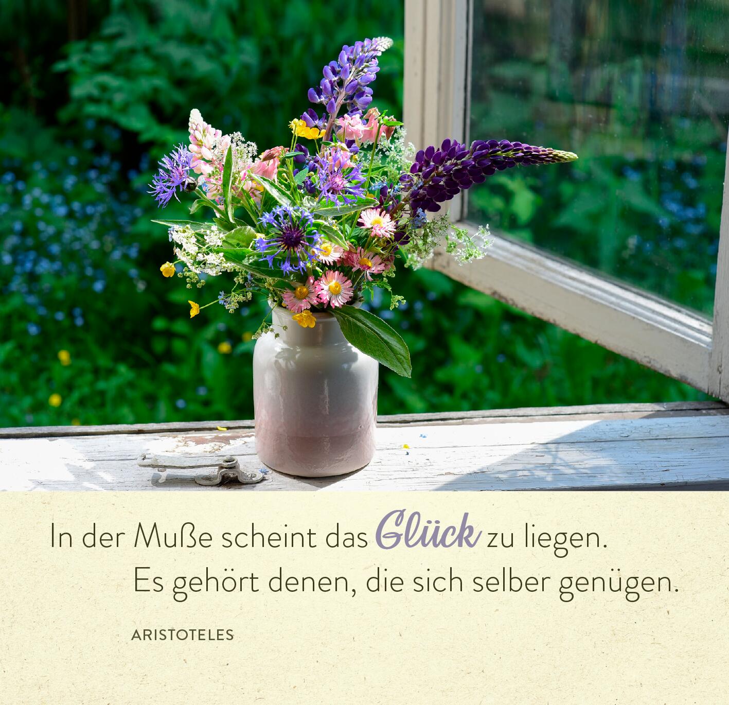 9783845866413_innenansicht_02.jpg