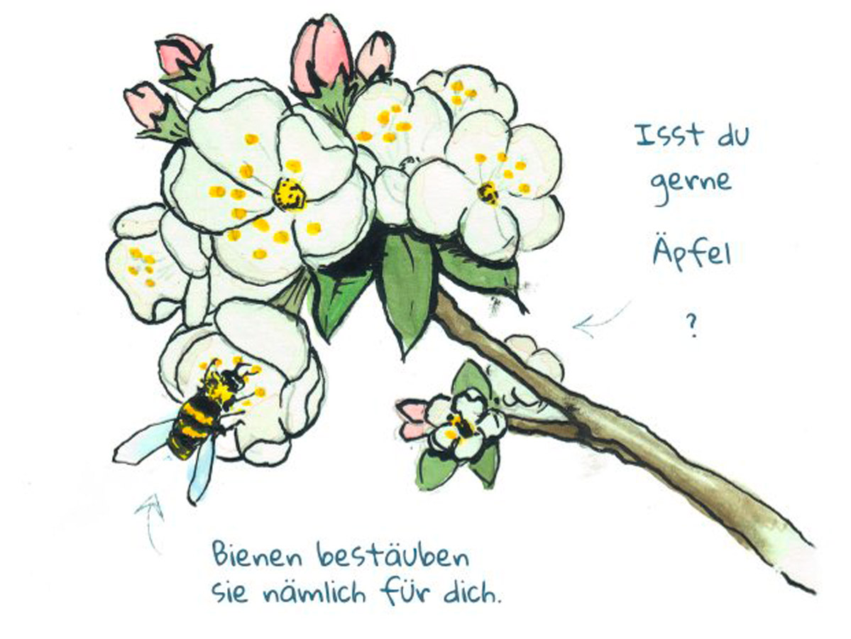 9783818622039_innenansicht_01.jpg