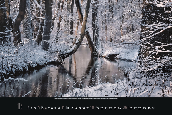 9783731883487_innenansicht_01.jpg