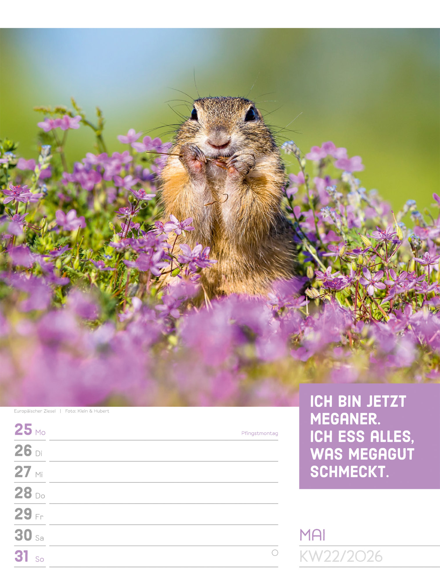 9783838426969_innenansicht_25.jpg