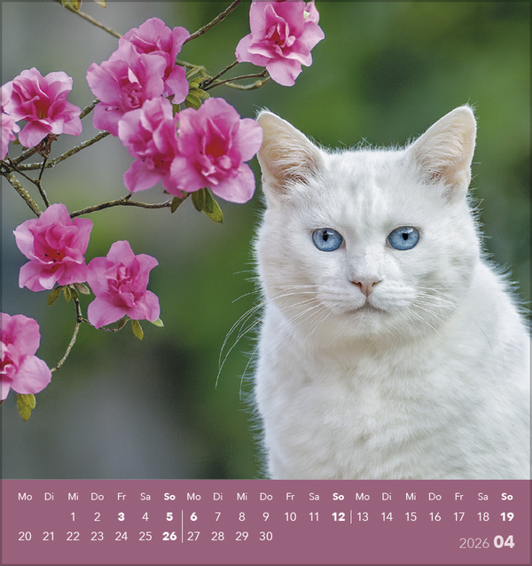 9783731884071_innenansicht_04 9783731884071_innenansicht_04.jpg