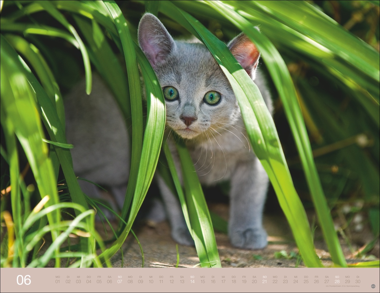 9783756411757_innenansicht_06 9783756411757_innenansicht_06.jpg