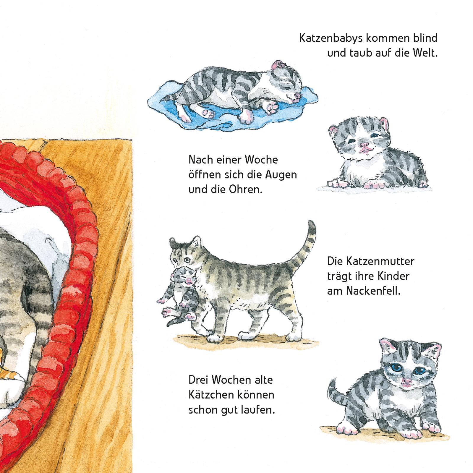 9783551033819_innenansicht_04 9783551033819_innenansicht_04.jpg