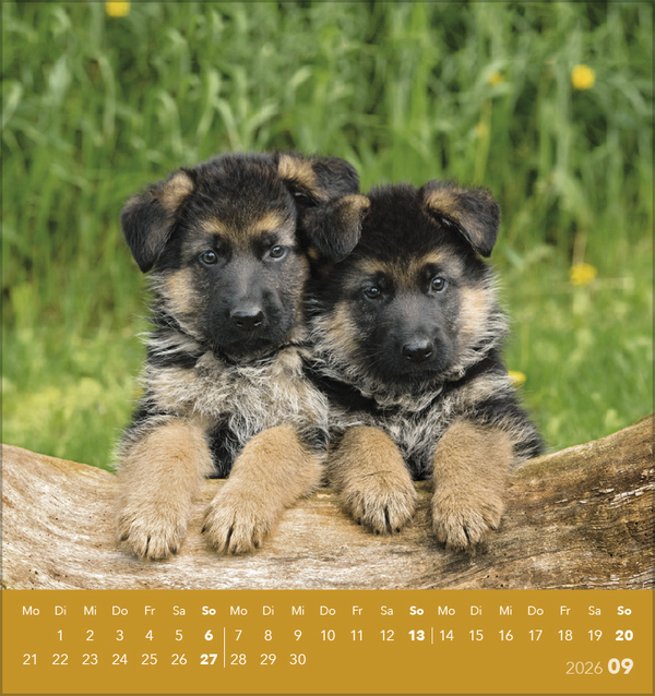 9783731884064_innenansicht_09 9783731884064_innenansicht_09.jpg