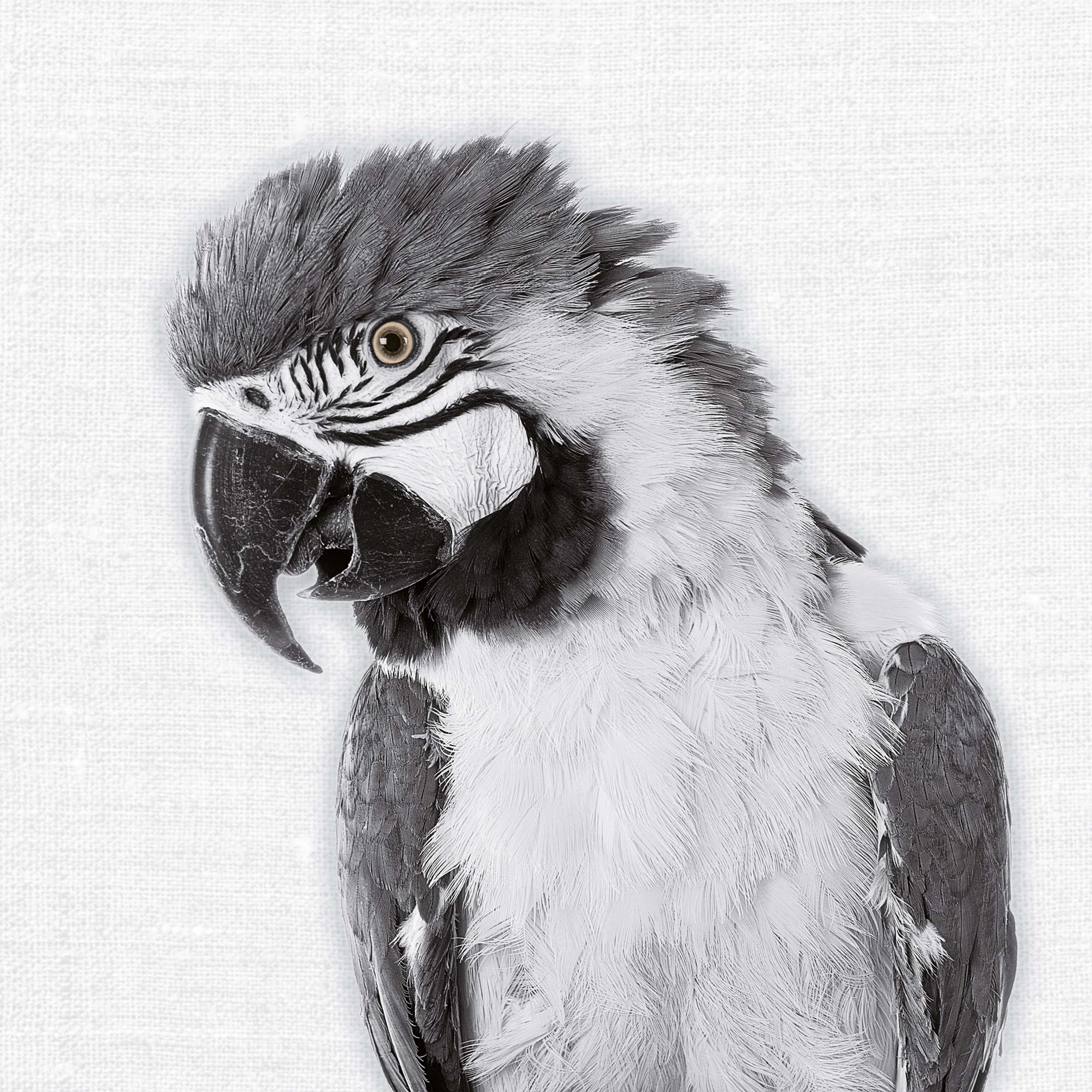 9783959295284_innenansicht_09 9783959295284_innenansicht_09.jpg