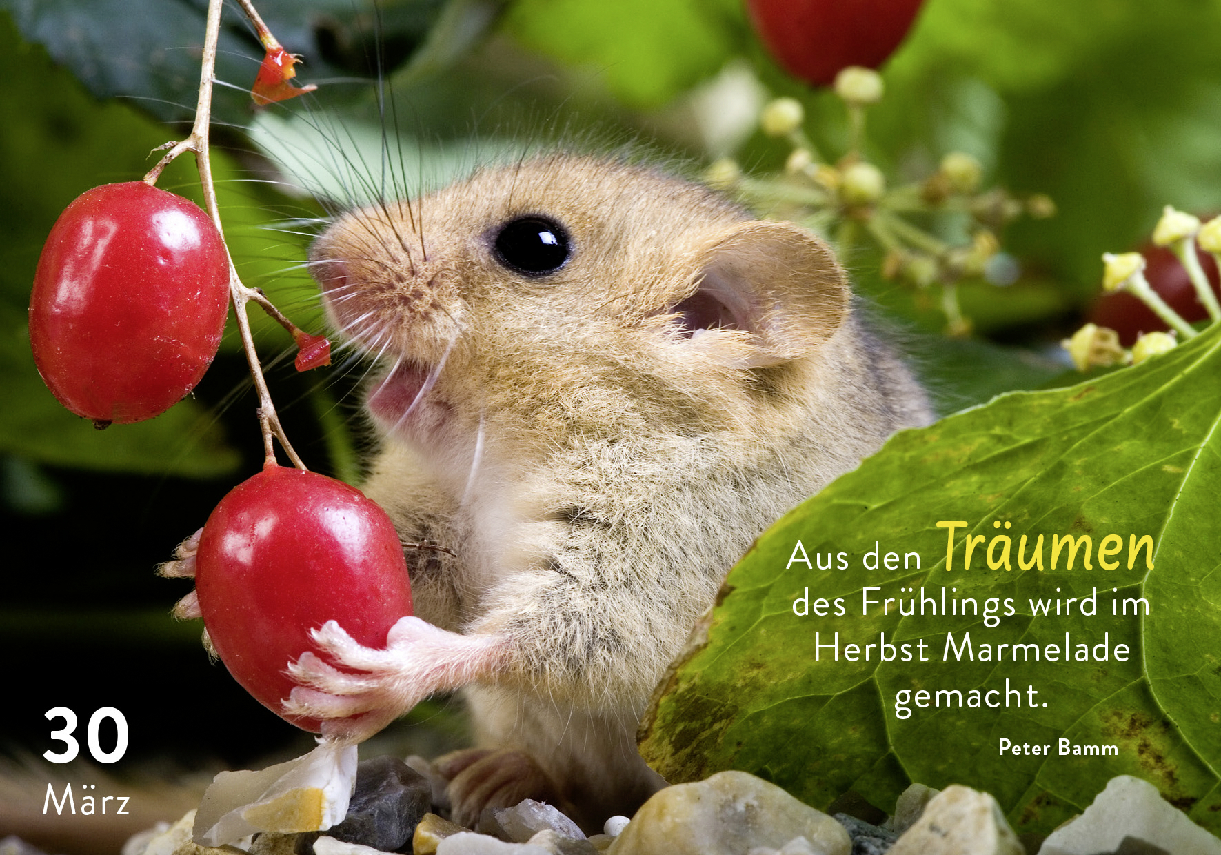 9783629010933_innenansicht_03.jpg