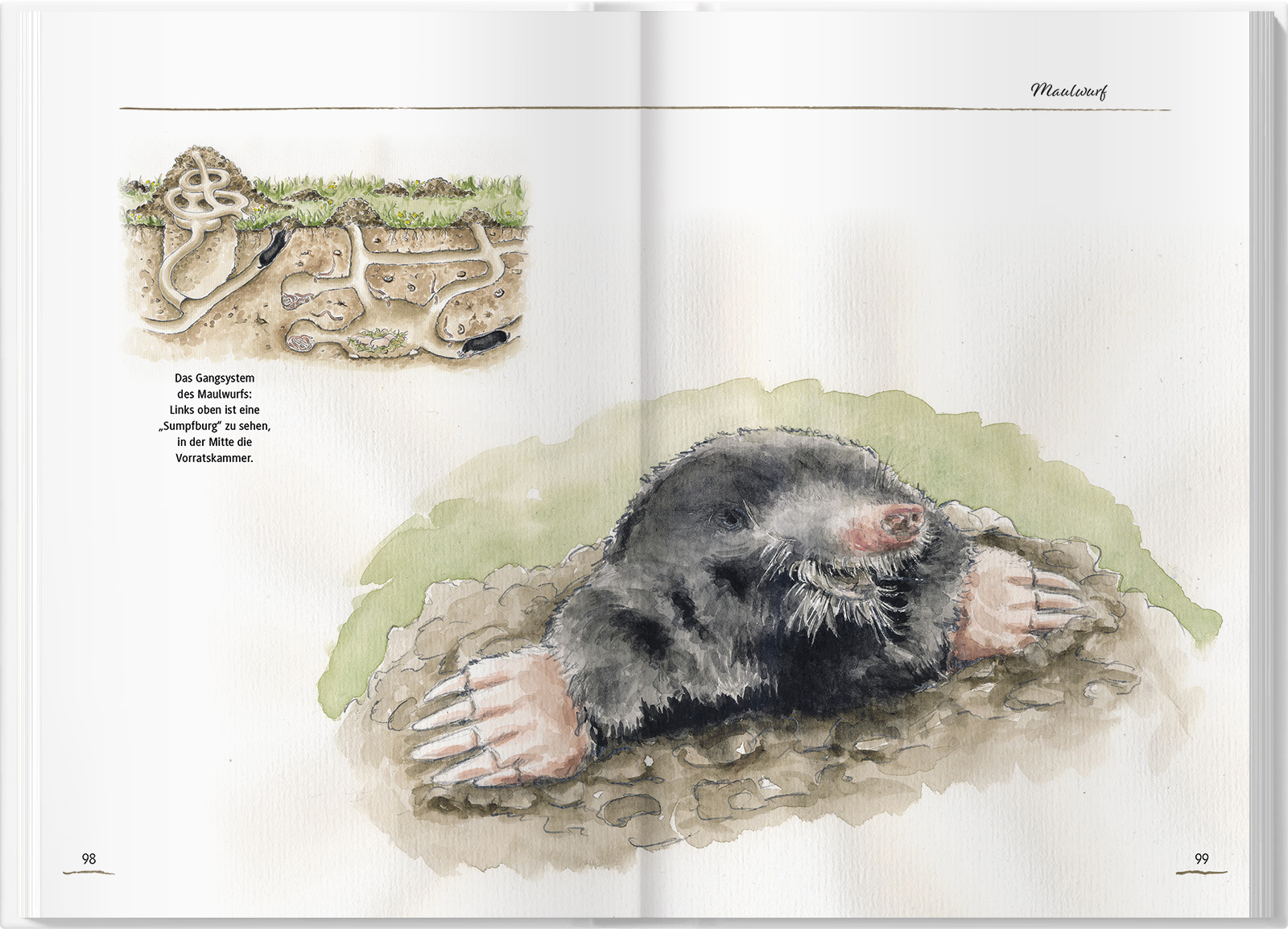 9783784357348_innenansicht_07 9783784357348_innenansicht_07.jpg