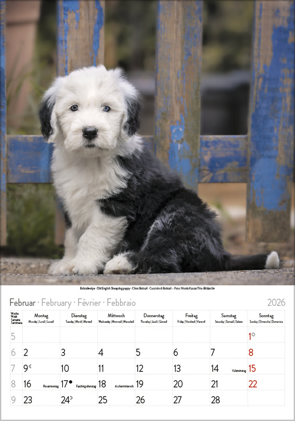 9783731883616_innenansicht_02 9783731883616_innenansicht_02.jpg