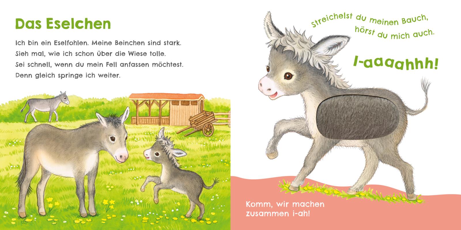9783551254016_innenansicht_06.jpg
