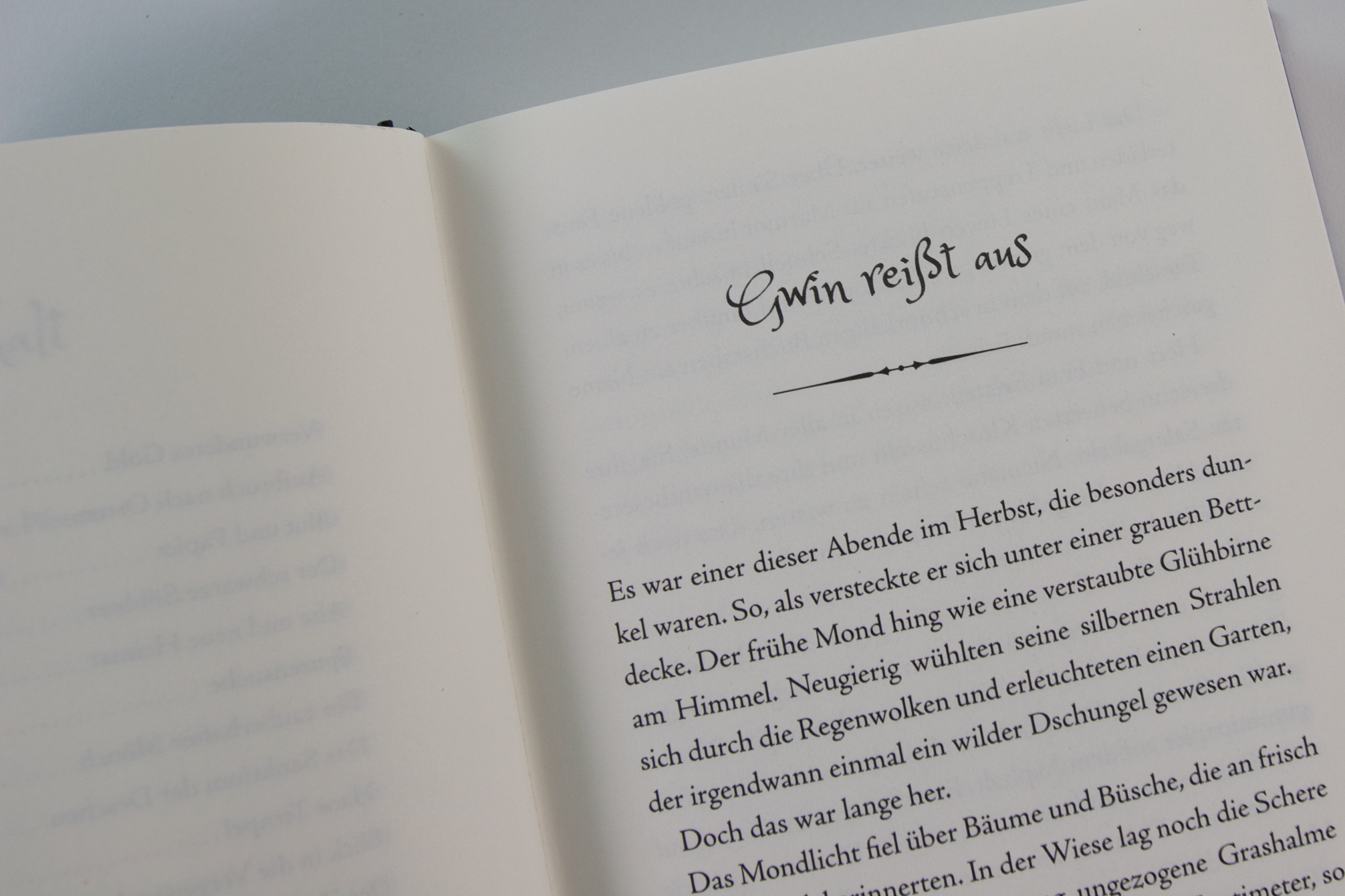 9783743219861_innenansicht_04.jpg