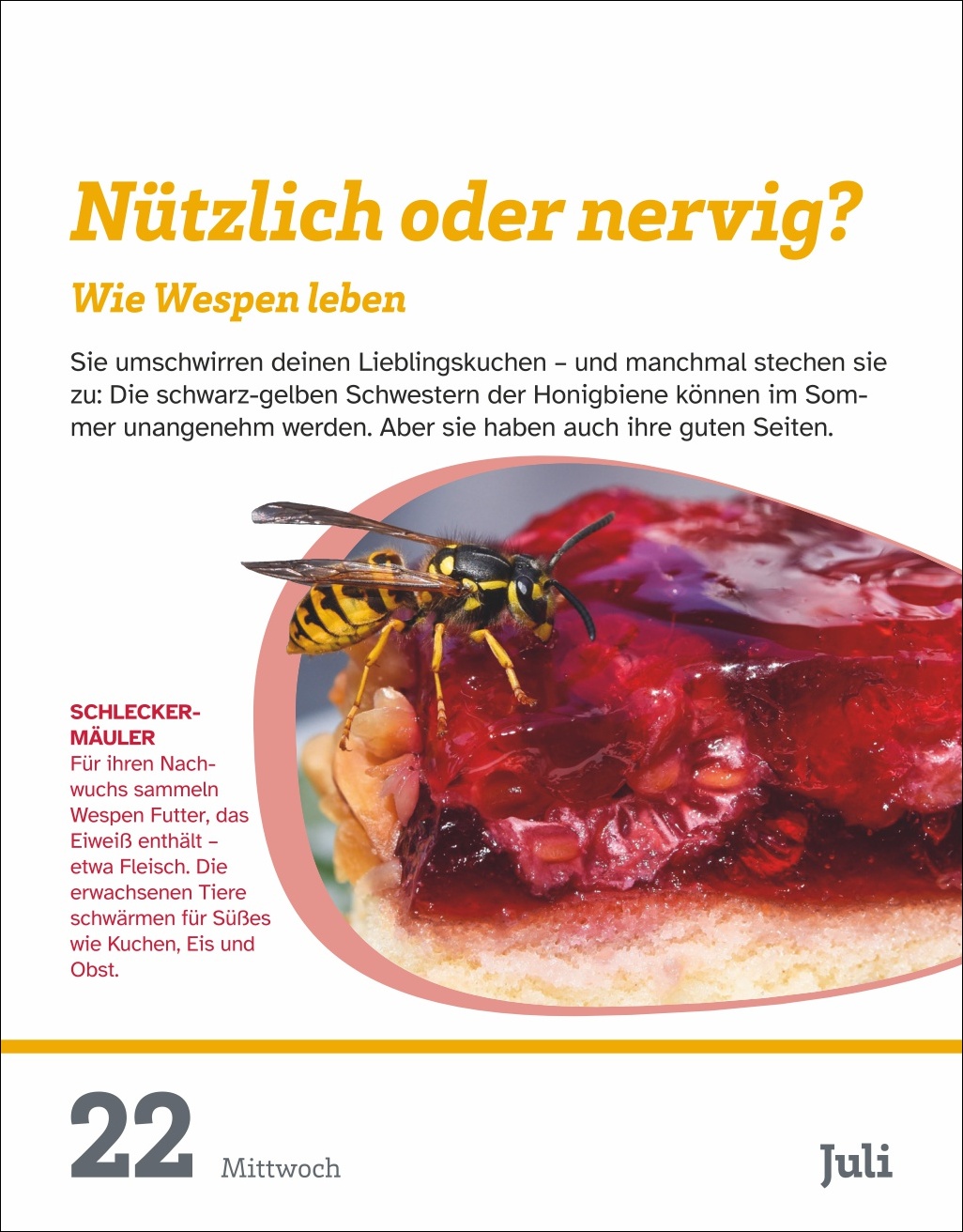 9783840036781_innenansicht_05 9783840036781_innenansicht_05.jpg