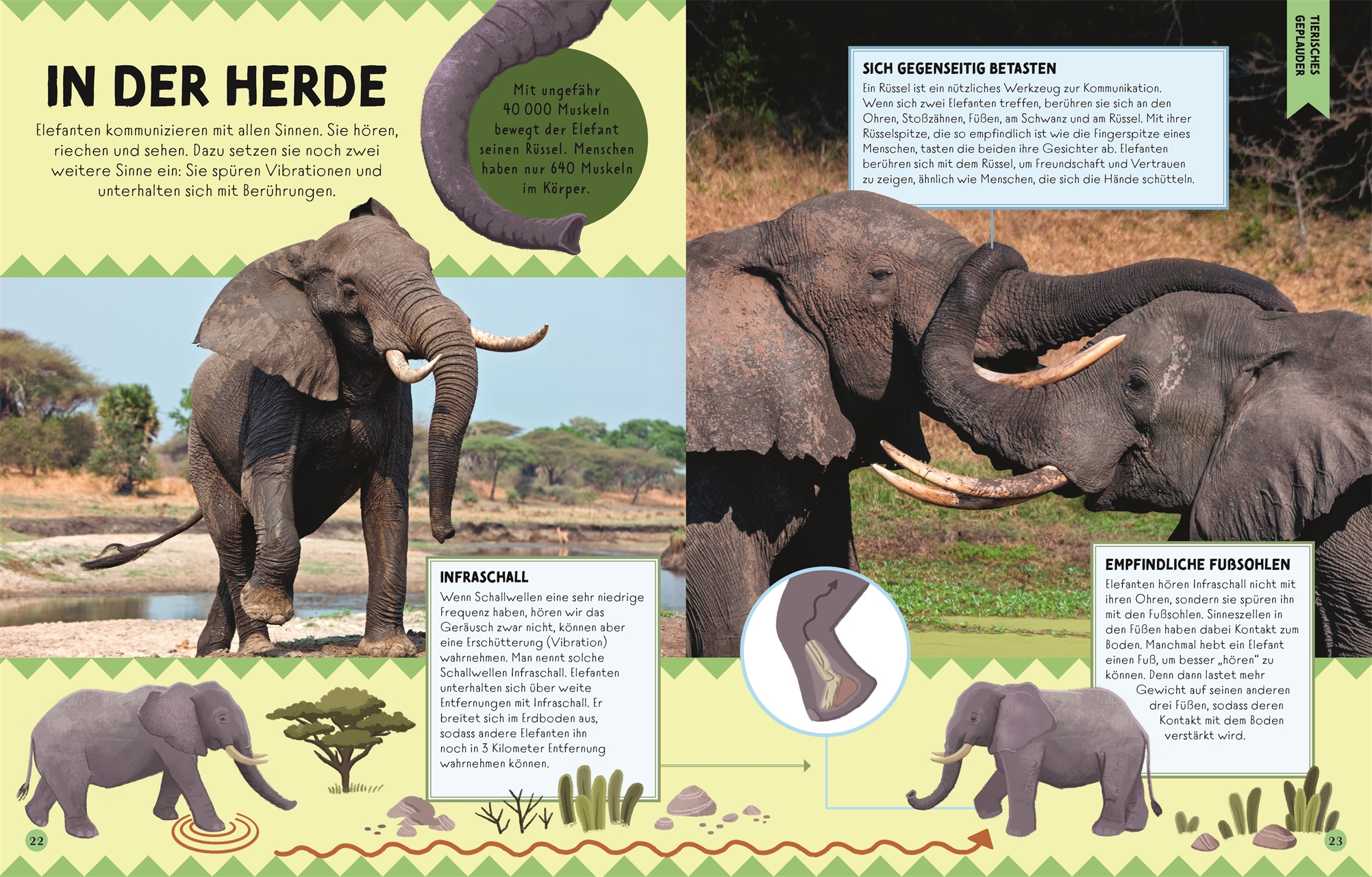 9783831048410_innenansicht_04 9783831048410_innenansicht_04.jpg