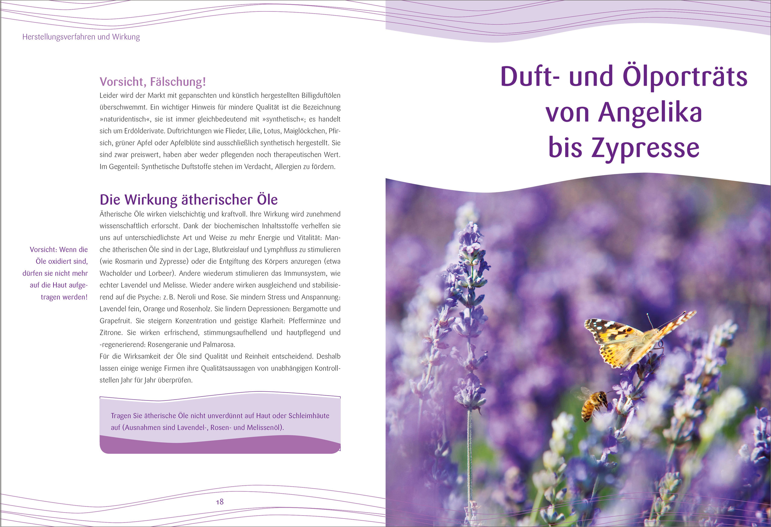 9783809439912_innenansicht_01.jpg