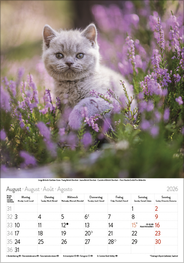 9783731883609_innenansicht_08 9783731883609_innenansicht_08.jpg