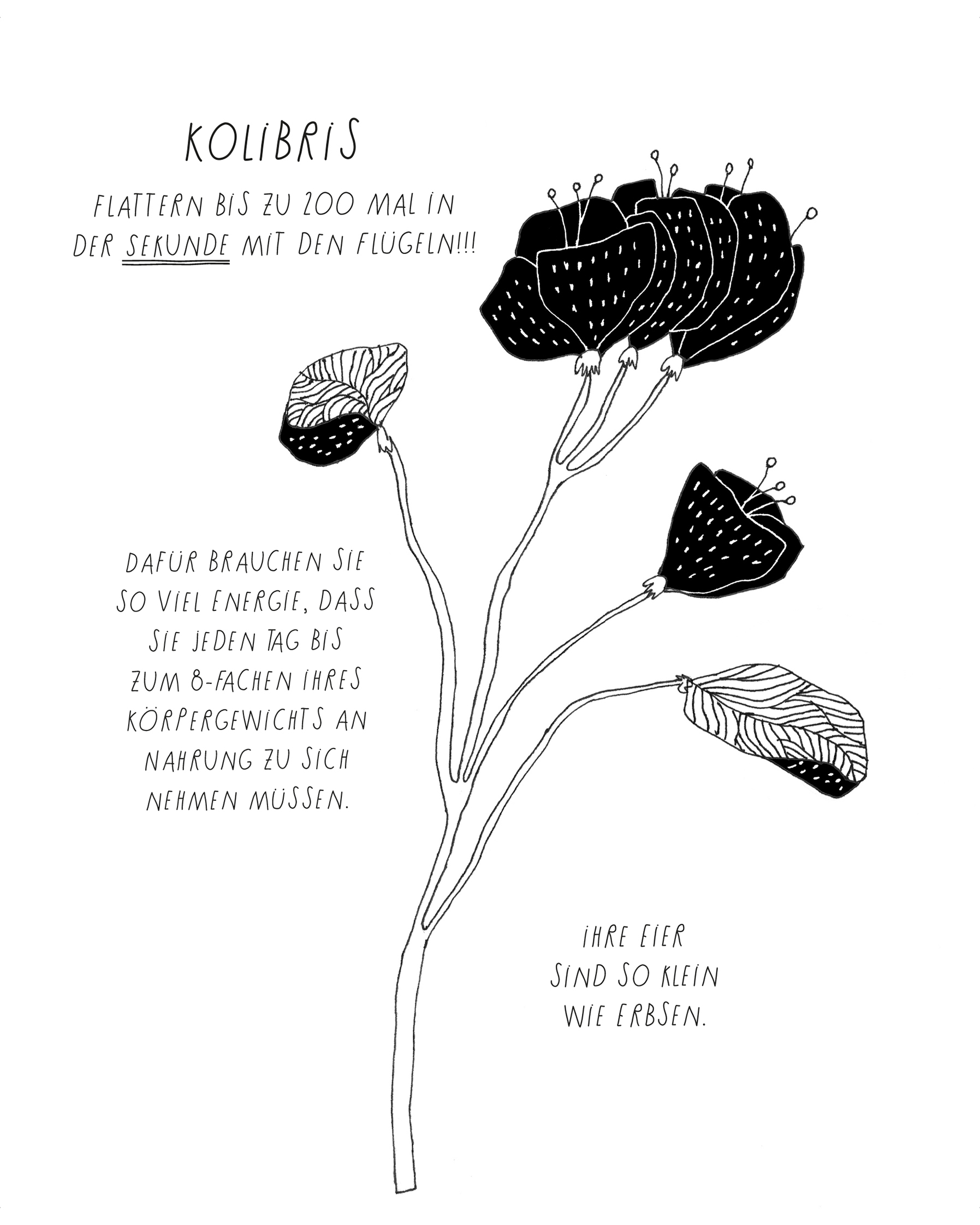 9783328101529_innenansicht_03 9783328101529_innenansicht_03.jpg