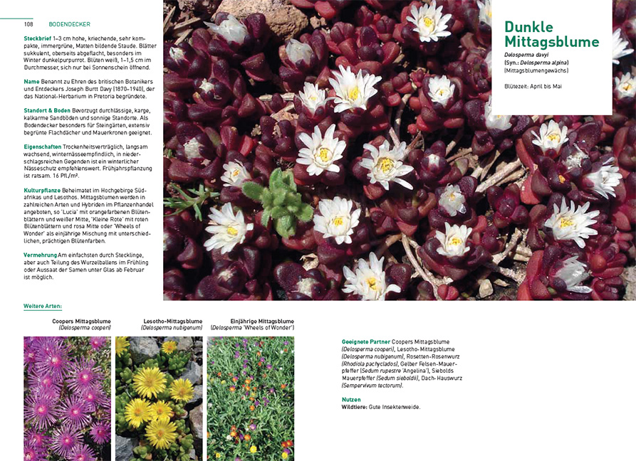 9783258083513_innenansicht_03 9783258083513_innenansicht_03.jpg