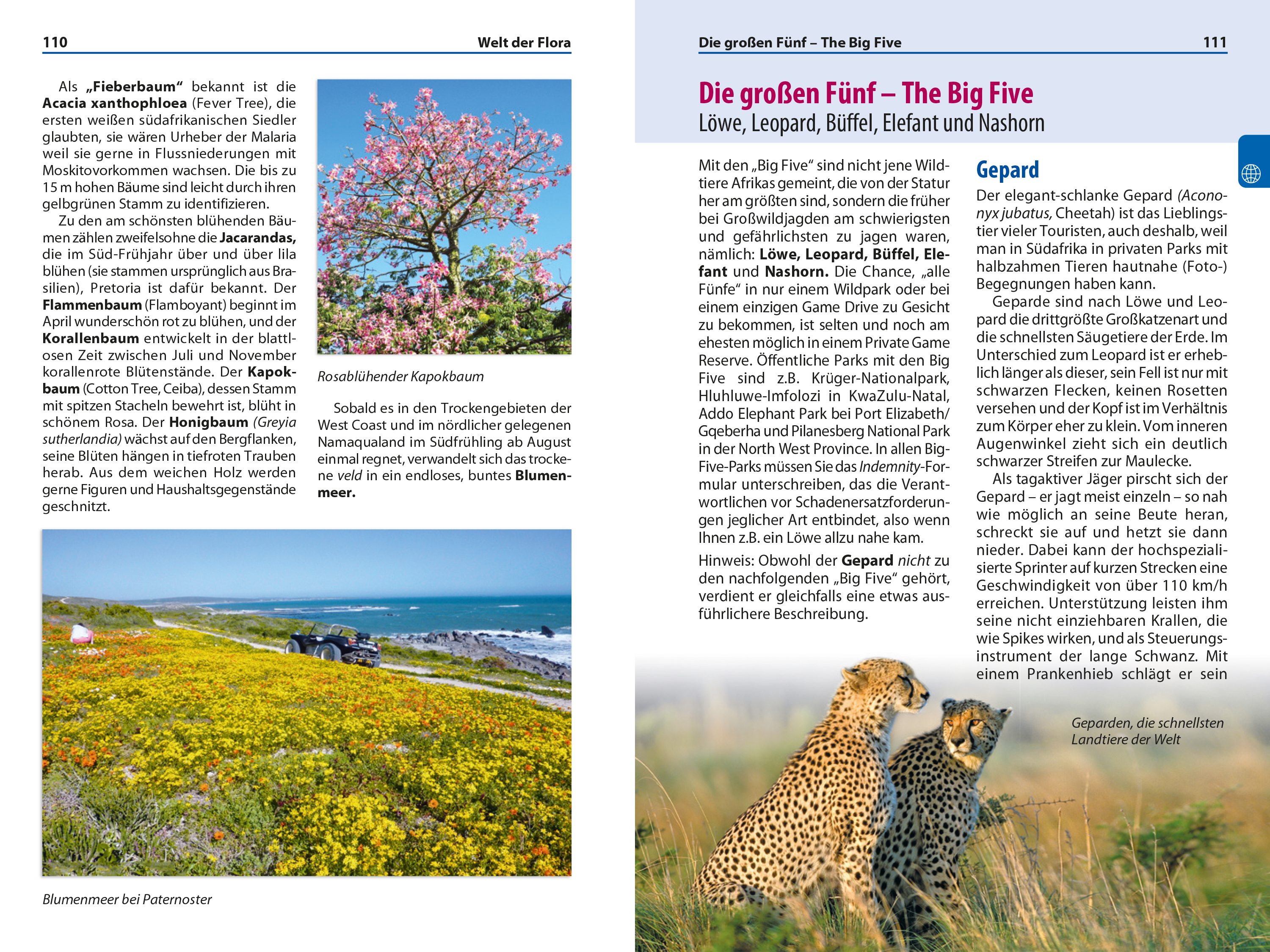 9783689861407_innenansicht_03 9783689861407_innenansicht_03.jpg