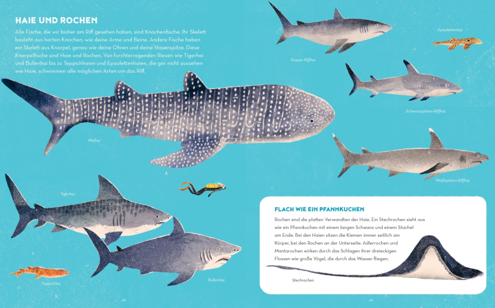 9783957284778_innenansicht_06 9783957284778_innenansicht_06.jpg