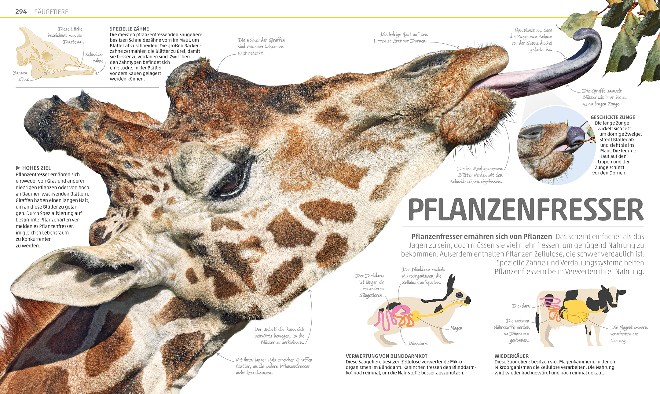 9783831035557_innenansicht_08 9783831035557_innenansicht_08.jpg