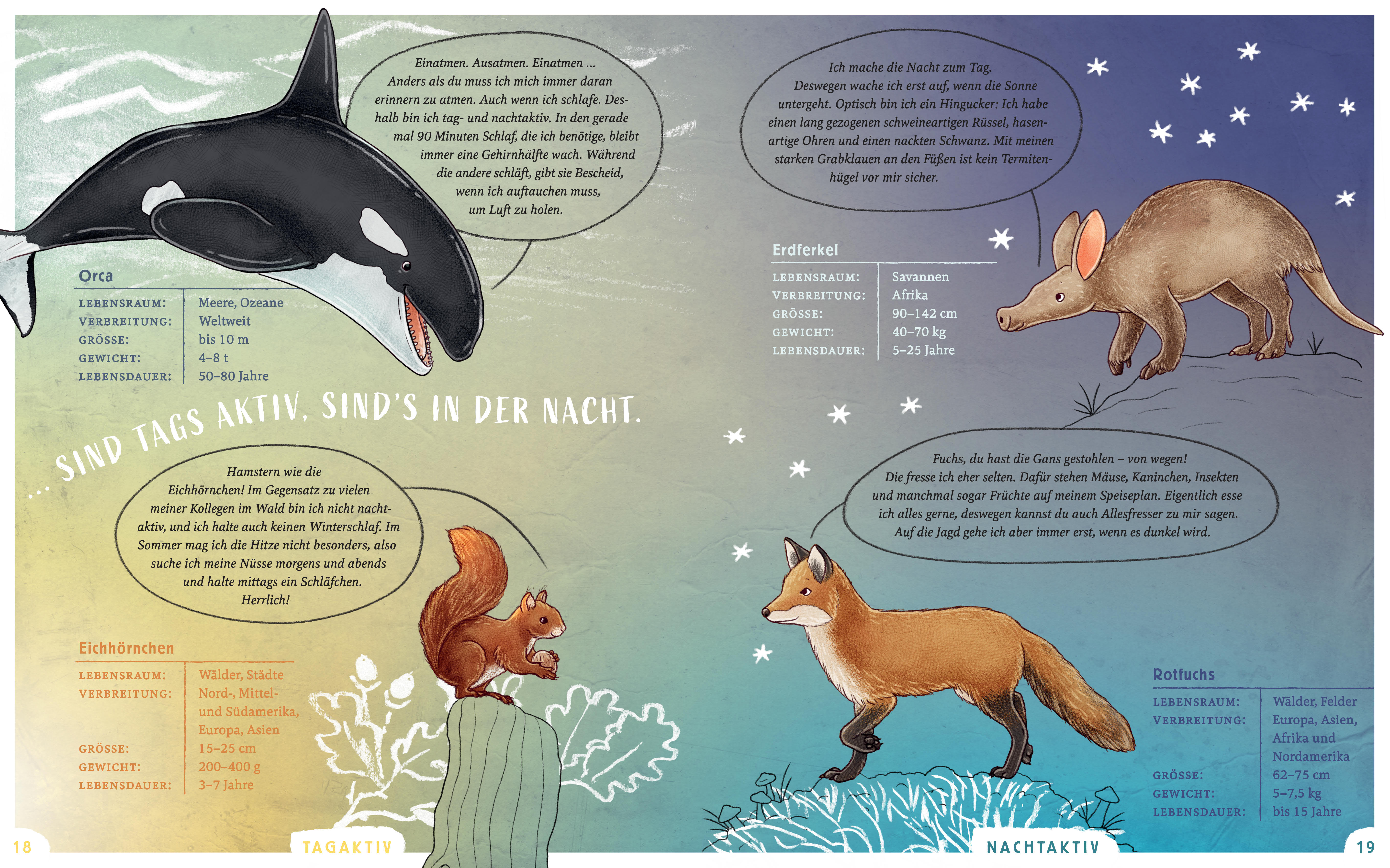 9783414826732_innenansicht_01 9783414826732_innenansicht_01.jpg