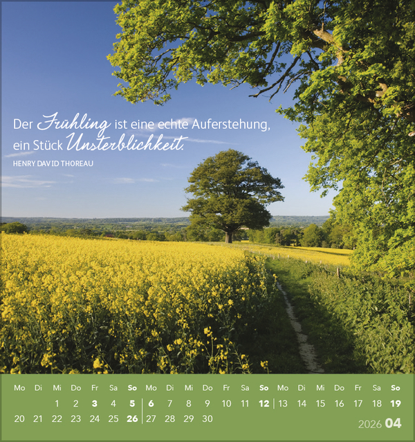 9783731884088_innenansicht_04.jpg