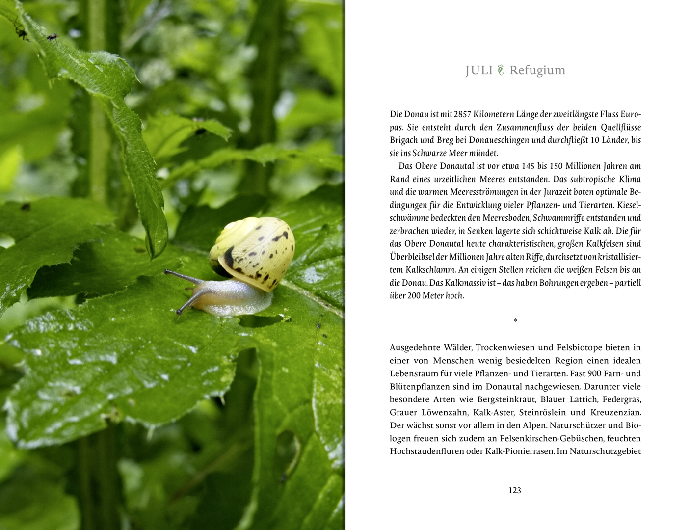 9783963402081_innenansicht_14.png