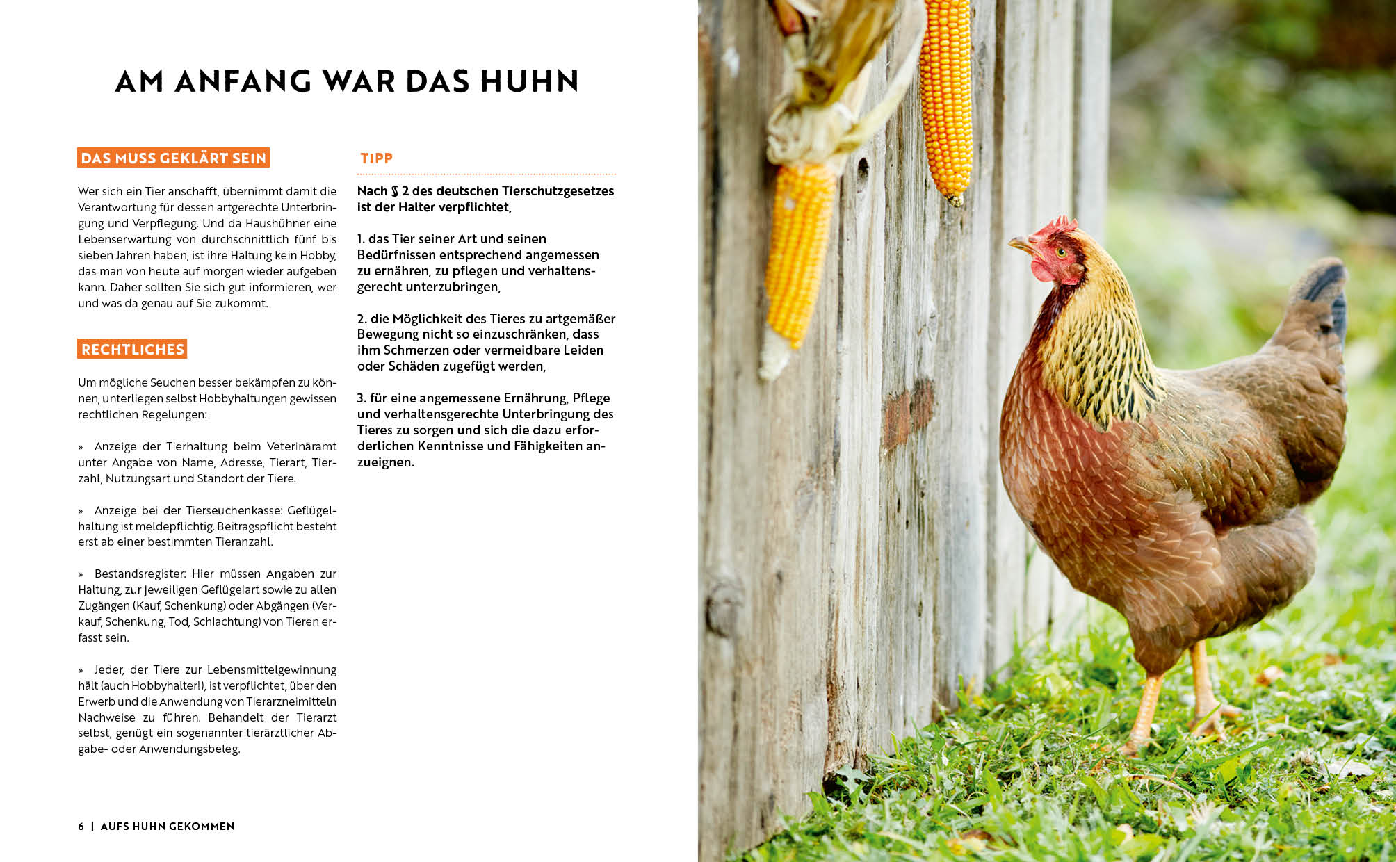 9783745925579_innenansicht_04.jpg