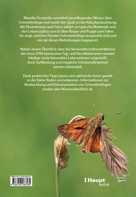 9783258083582_BC 9783258083582_BC.jpg