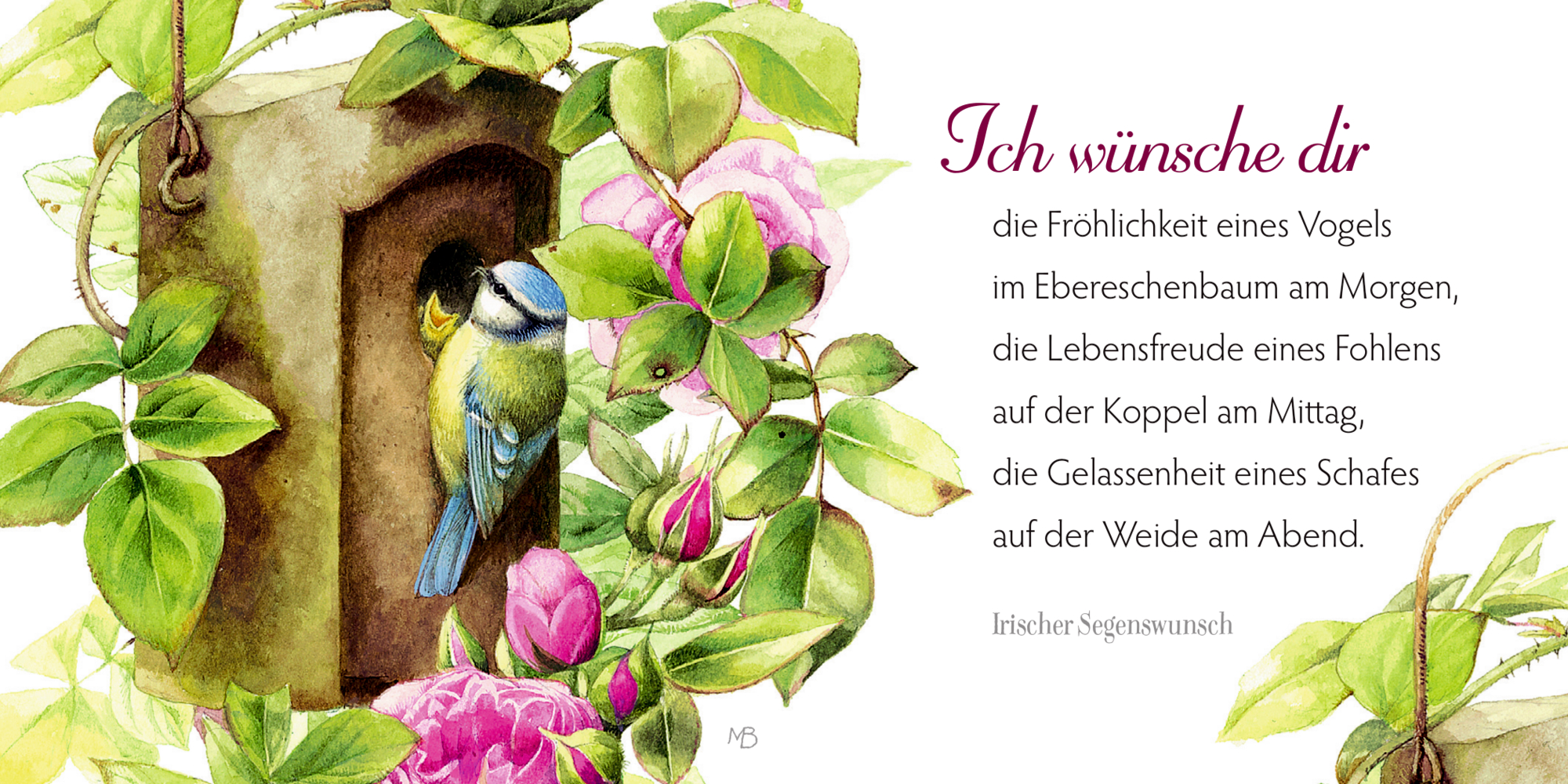 9783649646006_innenansicht_04.jpg