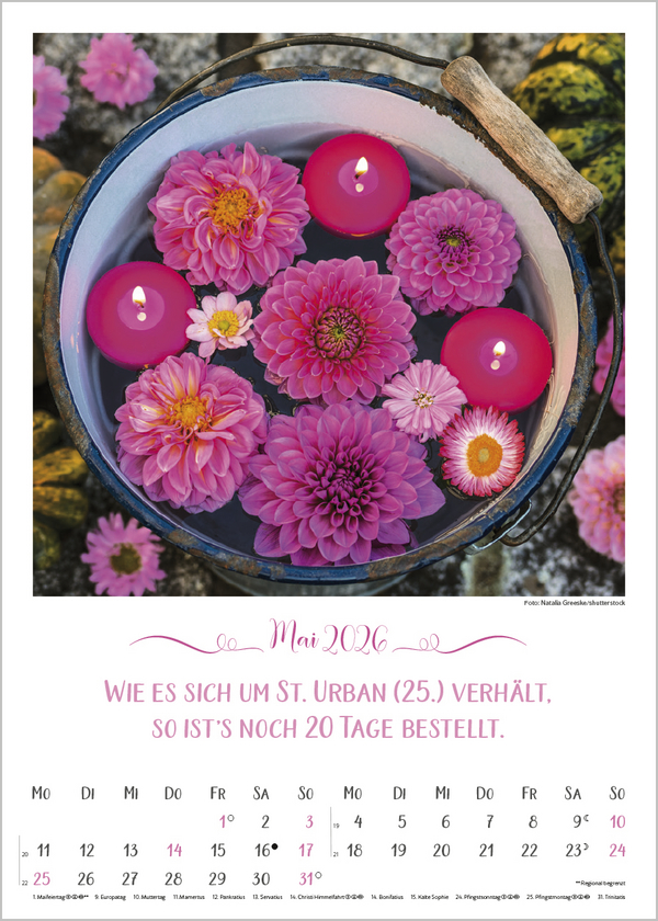 9783731886495_innenansicht_05.jpg
