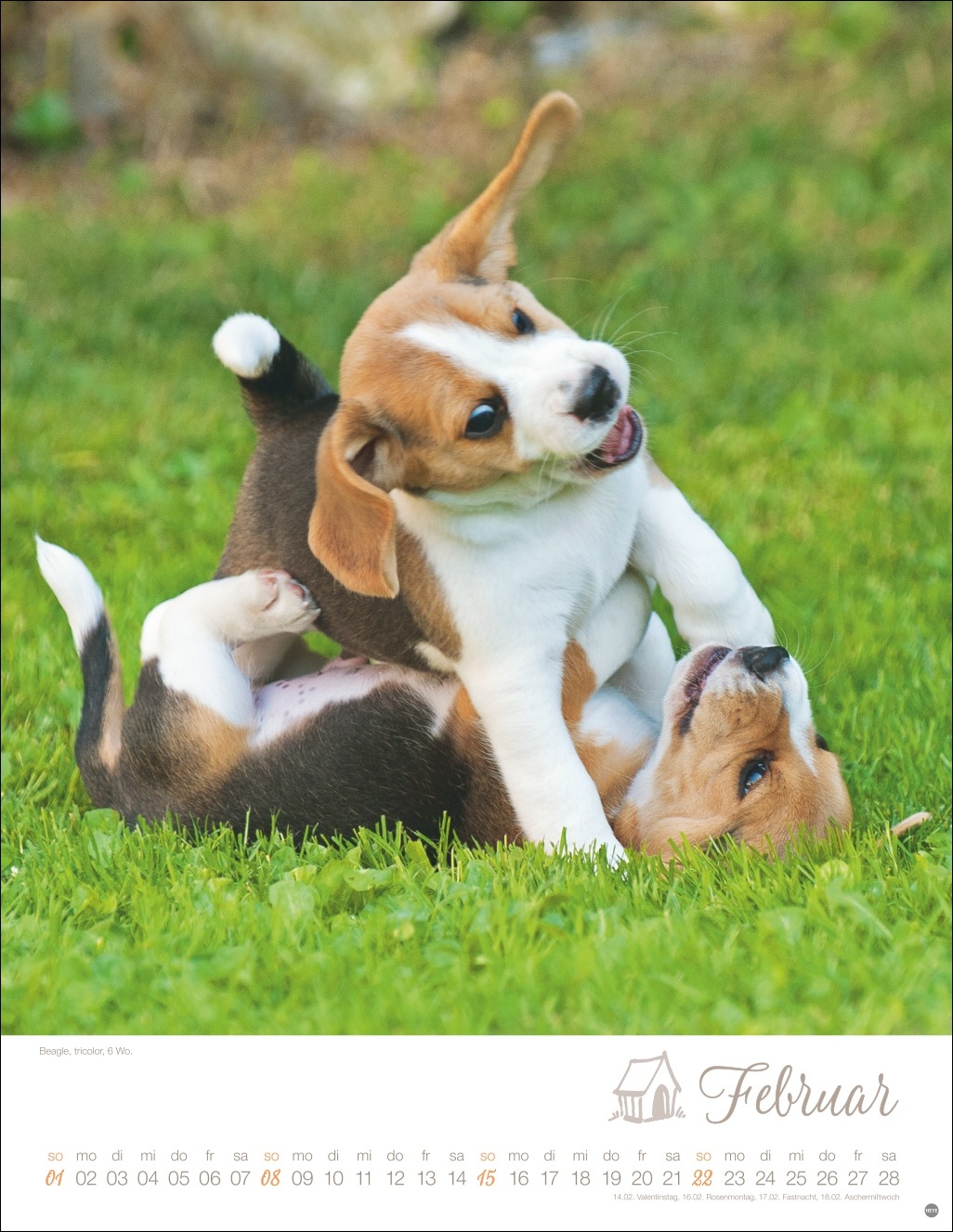 9783756410811_innenansicht_02 9783756410811_innenansicht_02.jpg