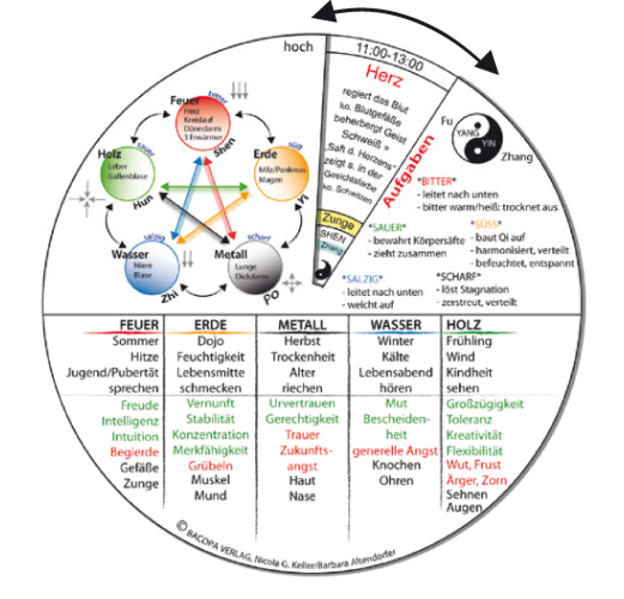 9783902735249 9783902735249