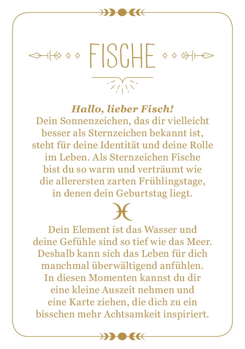 9783845849768_innenansicht_01.jpg