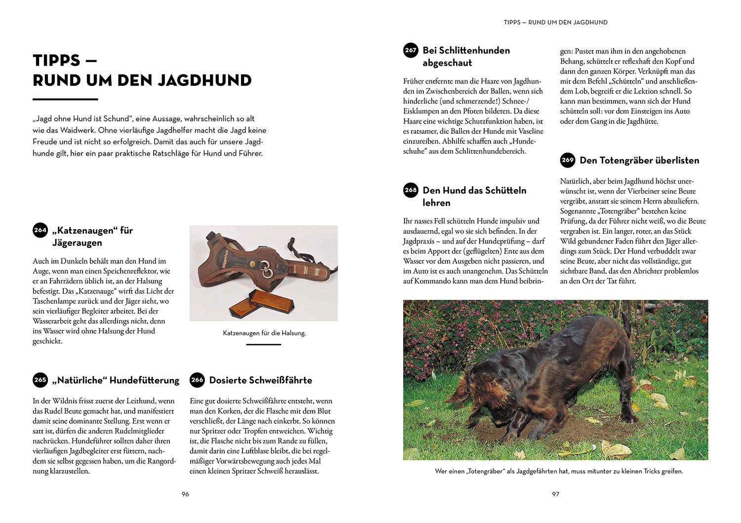 9783440174869_innenansicht_03.jpg