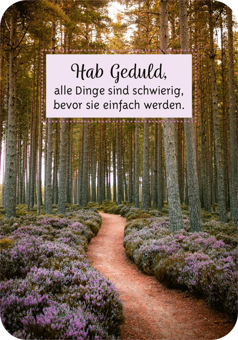 9783845852829_innenansicht_02.jpg
