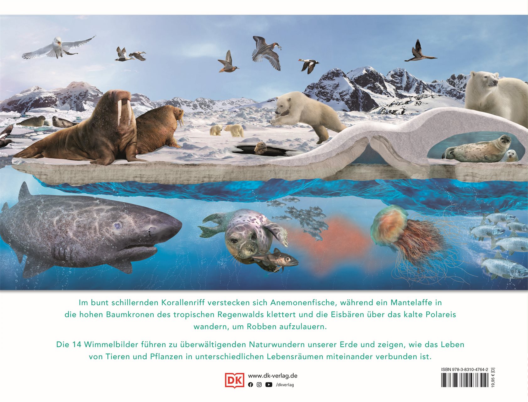 9783831047642_BC 9783831047642_BC.jpg