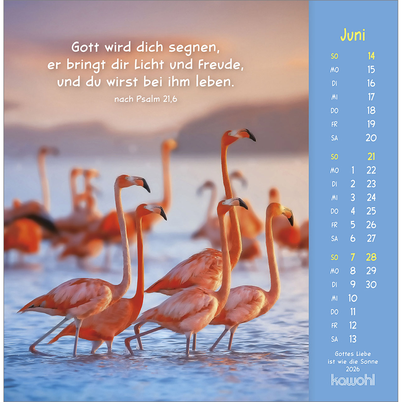 9783754848067_innenansicht_06.jpg