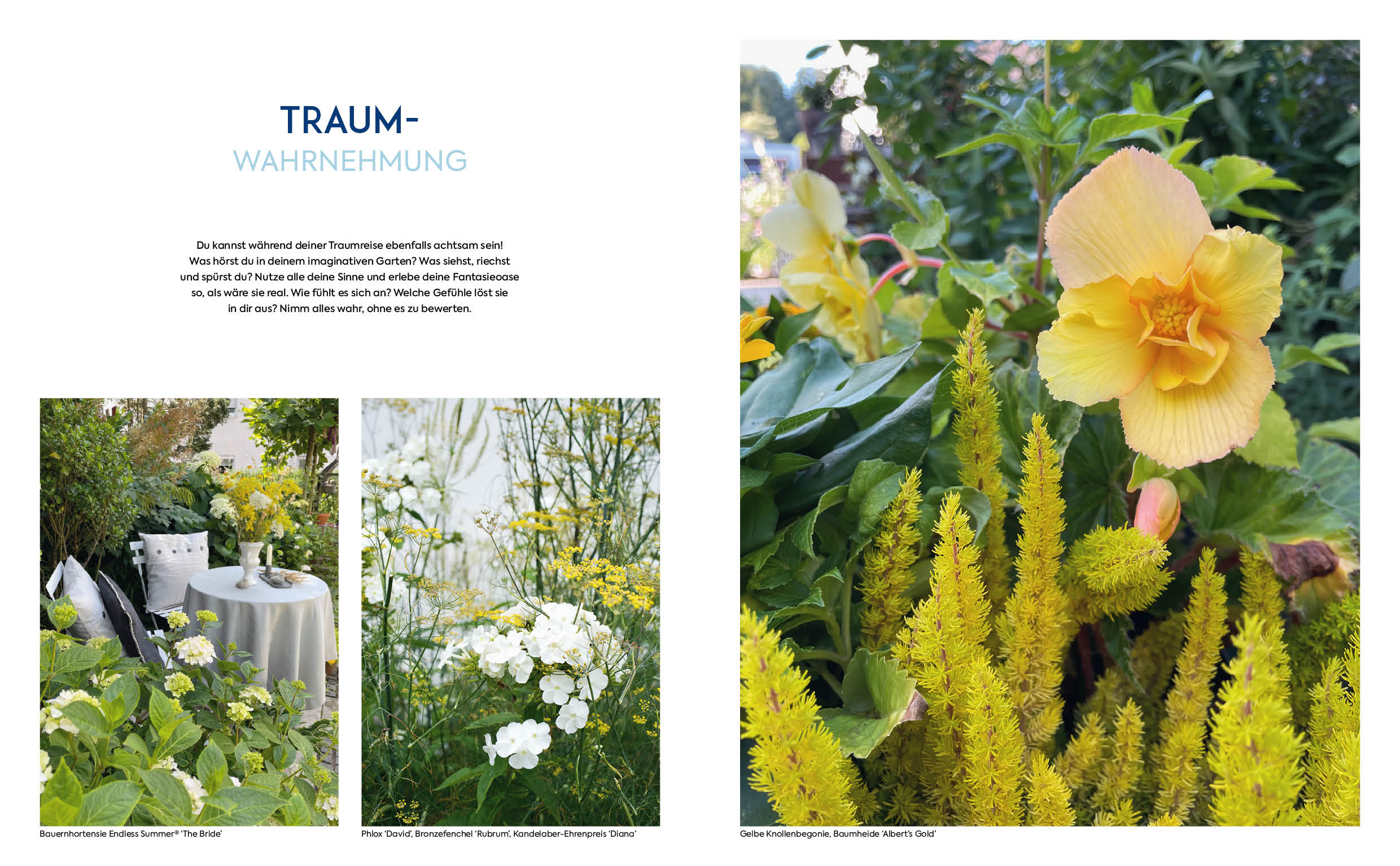 9783745918502_innenansicht_08 9783745918502_innenansicht_08.jpg