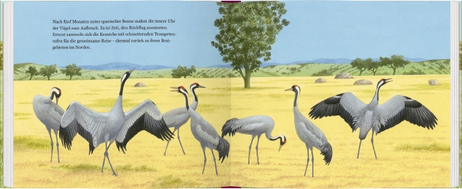 9783836960465_innenansicht_02 9783836960465_innenansicht_02.jpg