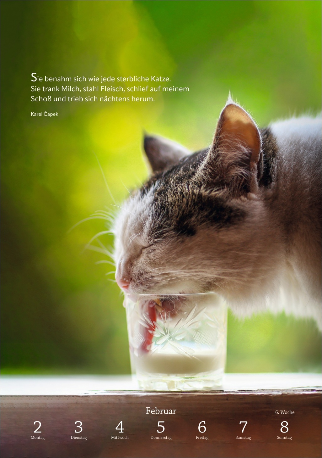 9783840036507_innenansicht_03 9783840036507_innenansicht_03.jpg