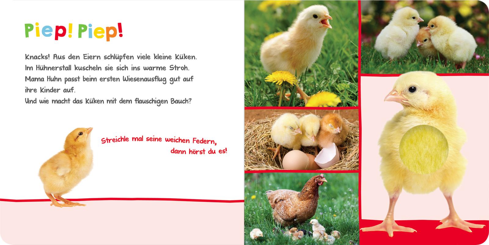 9783845842905_innenansicht_03.jpg