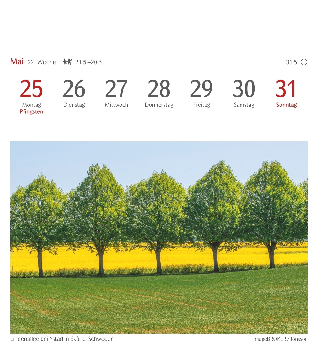 9783840035715_innenansicht_03.jpg