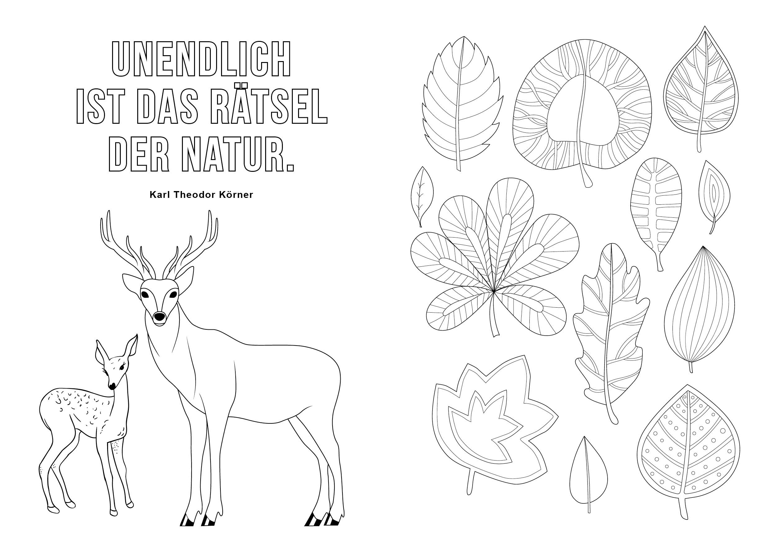 9783745929997_innenansicht_03.jpg