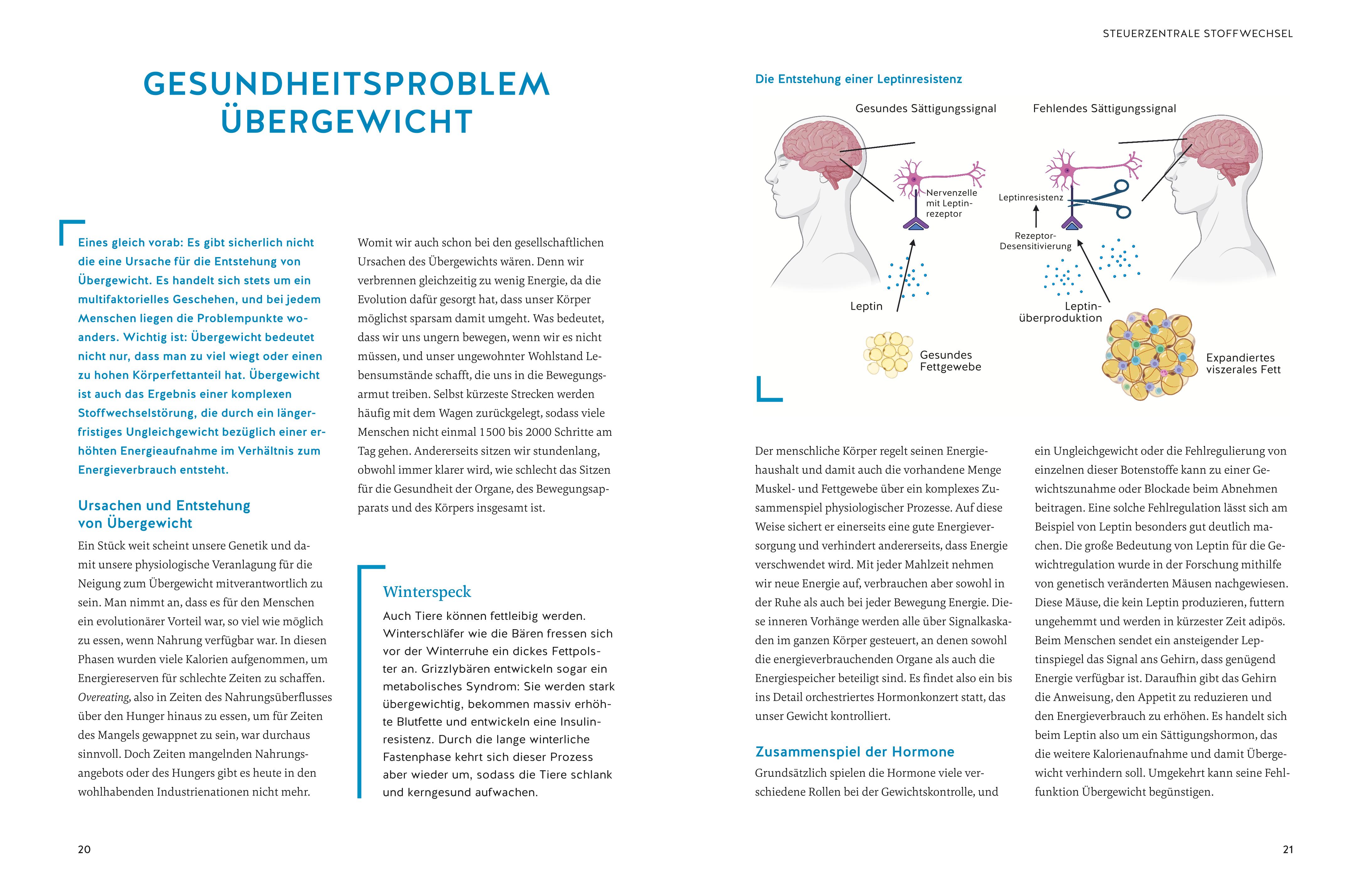 9783833890420_innenansicht_04 9783833890420_innenansicht_04.jpg