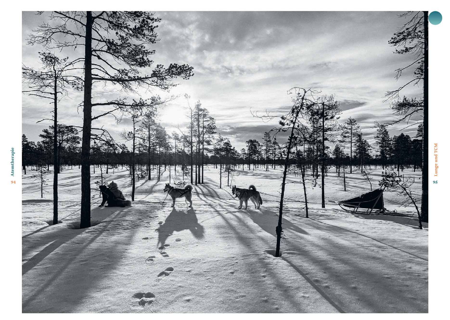 9783708808451_innenansicht_08 9783708808451_innenansicht_08.jpg